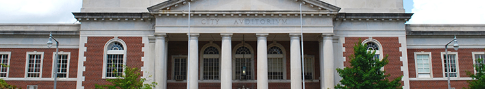 cityhall_banner